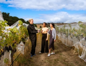 winery 2